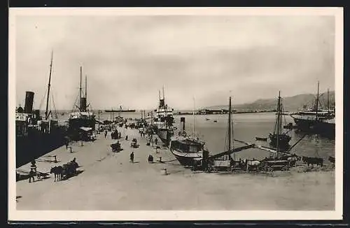 AK Trieste, Molo Audace