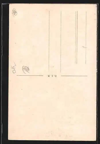 AK Wels, Ledererturm und Geschäfte