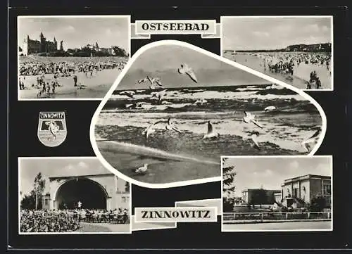 AK Zinnowitz, Musikpavillon, Kurhaus, Möwen am Strand