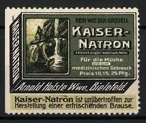 Reklamemarke Kaiser-Natron - rein wie der Urwuell, Arnold Holste Wwe., Bielefeld, Schachtel