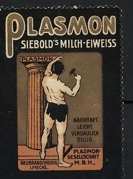 Reklamemarke Siebold's Plasmon Milch-Eiweiss, Plasmon-Gesellschaft Neubrandenburg, Bildhauer an einer Säule