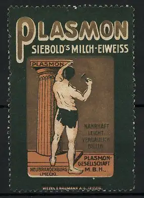 Reklamemarke Siebold's Plasmon Milch-Eiweiss, Plasmon-Gesellschaft Neubrandenburg, Bildhauer an einer Säule