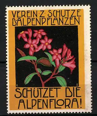 Reklamemarke Verein zum Schutze der Alpenpflanzen, Schützet die Alpenflora, Blumen