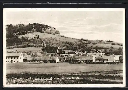 AK Blindenmarkt, Ortsansicht mit Kirche