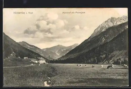 AK Hinterriss i. Tirol, Alpenhof mit Plumsjoch