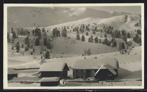 AK Turrachhöhe / Steiermark, Gasthaus zum Seewirt im Winter, Bes. Hans Brandstätter