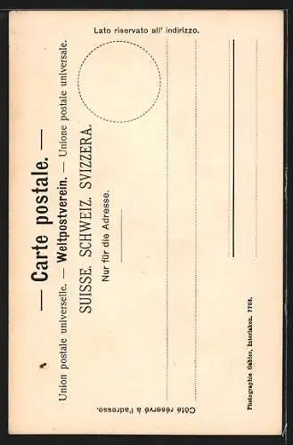 AK Interlaken, Teilansicht mit Jungfrau