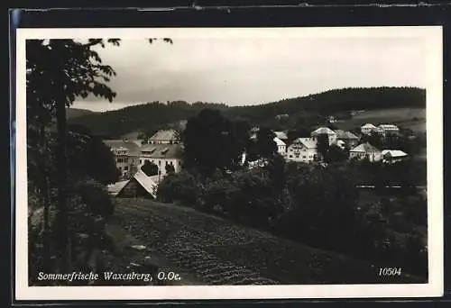 AK Waxenberg, Totale von der Bergwiese aus gesehen