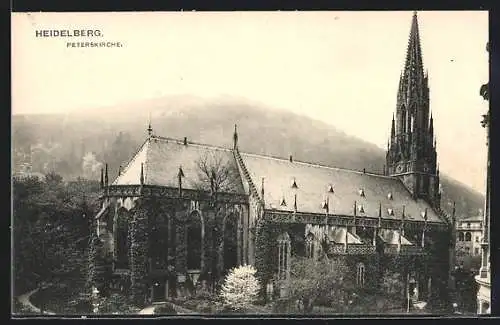 AK Heidelberg / Neckar, Blick auf die Peterskirche