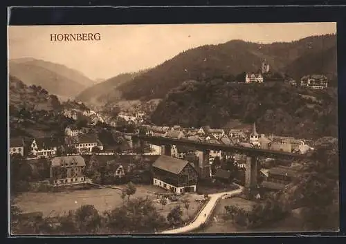 AK Hornberg / Schwarzwald, Ortsansicht