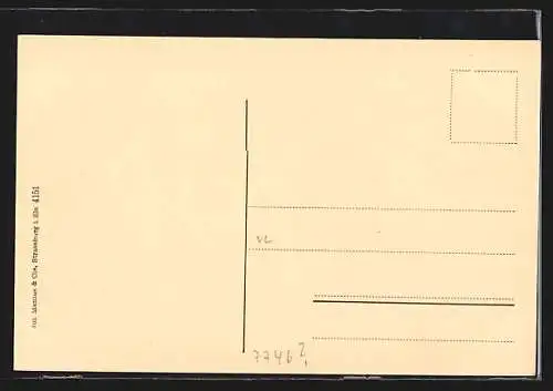 AK Hornberg / Schwarzwald, Ortsansicht