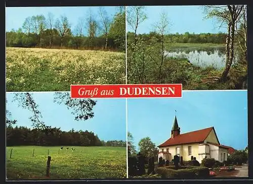 AK Dudensen, Naturaufnahmen, weidende Kühe, Kirche