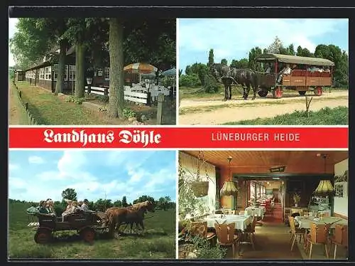 AK Egestorf-Döhle, Café-Restaurant Landhaus Döhle, mit Innenansicht, Dorfstrasse 29, Pferdekutschen