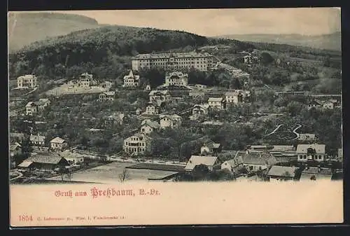 AK Pressbaum, Pensionat Sacre-Coeur, Blick über den Ort aus der Vogelperspektive