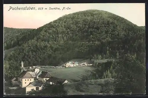 AK Puchenstuben /N.-Oe., Ortsansicht am Fusse des Bergs