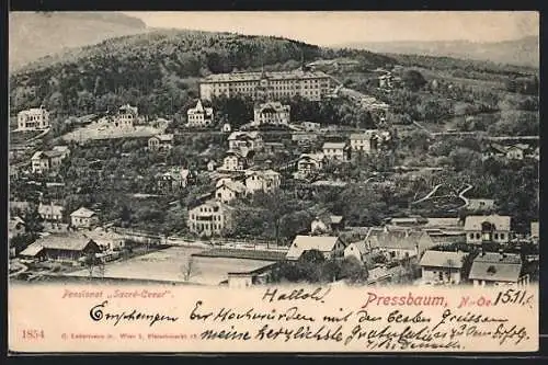 AK Pressbaum, Pensionat Sacre-Coeur, Blick über den Ort aus der Vogelperspektive