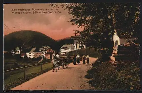 AK Puchenstuben an der Mariazellerbahn, Wegpartie mit Blick zur Ortschaft