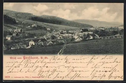 AK Pressbaum /N.-Oe., Ortsansicht vom Feldweg aus