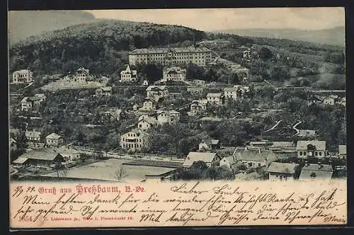 AK Pressbaum /N.-Oe., Ortsansicht mit dem Sacre Coeur