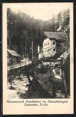 AK Gutenstein, Hammerwerk Haselsteiner im Steinapiestingtal