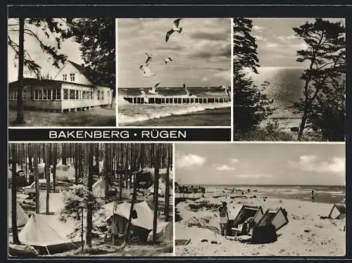 AK Bakenberg /Rügen, Zeltplatz und Strand mit Möwen