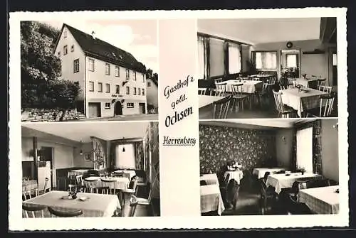 AK Herrenberg, Gasthof zum goldenen Ochsen, Innenansichten