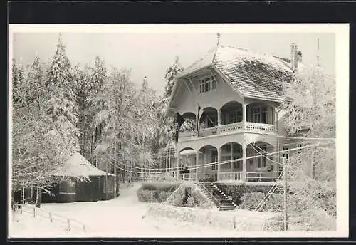 Foto-AK Heidelberg /Neckar, Gasthof Königstuhl im Winter