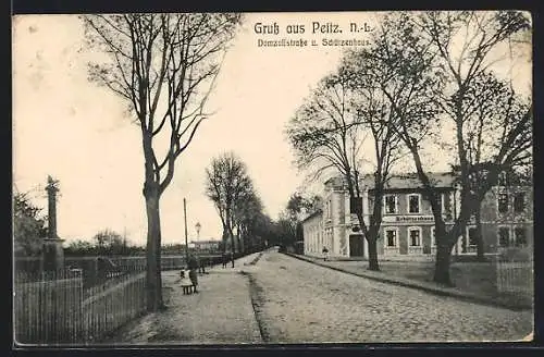 AK Peitz, Domzollstrasse und Schützenhaus