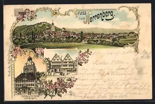 Lithographie Herrenberg, Gasthof zur Post, Rathaus mit Kirche, Panorama