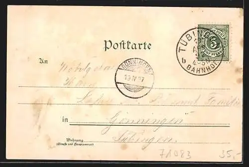 Lithographie Herrenberg, Gasthof zur Post, Rathaus mit Kirche, Panorama