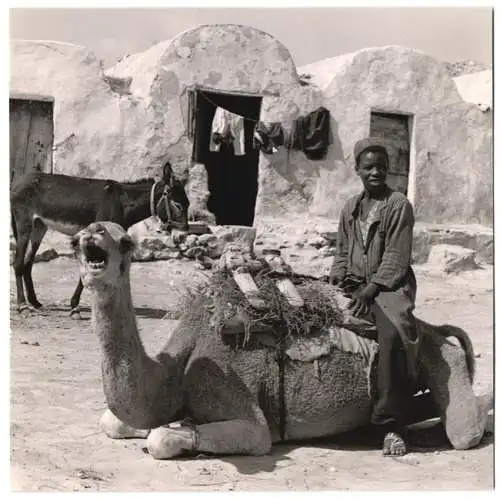 Fotografie Afrikanischer Bursche mit Dromeda & Esel in einem Dorf
