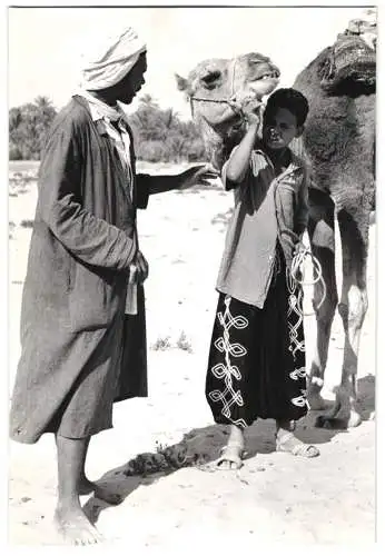 Fotografie Tunesien, Kamelhändler nebst Knabe & Kamel