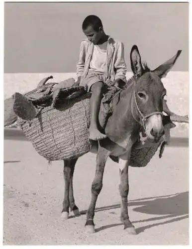Fotografie Knabe transportiert mit Esel Körbe voller Blätter eines Feigenkaktus