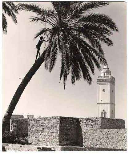 Fotografie unbekannter Fotograf, Ansicht Gafsa, Minarett einer Moschee