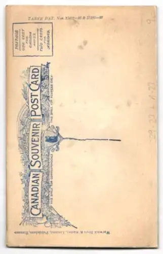 Relief-AK Edward VII., König von England in Uniform mit Orden