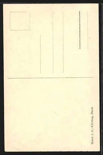 AK St. Gallen, Partie am Kloster