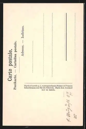 AK Luzern, Blick auf die Hofkirche