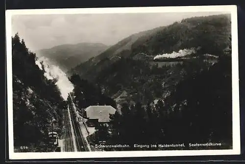 AK Triberg, Schwarzwaldbahn, Seelenwaldkurve und Station am Haldentunnel