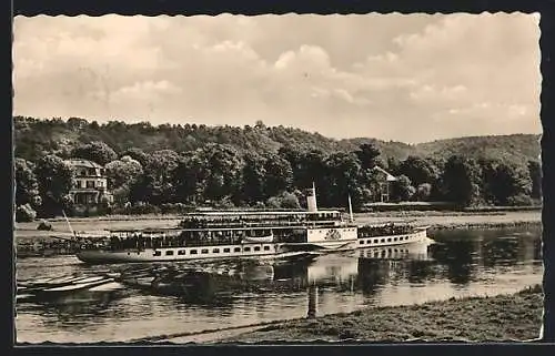 AK Dresden-Pillnitz, Elbdampfer Leipzig, Ortsansicht