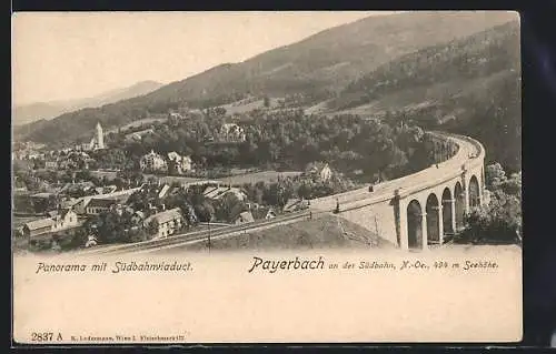 AK Payerbach /Südbahn, Panorama mit Viadukt