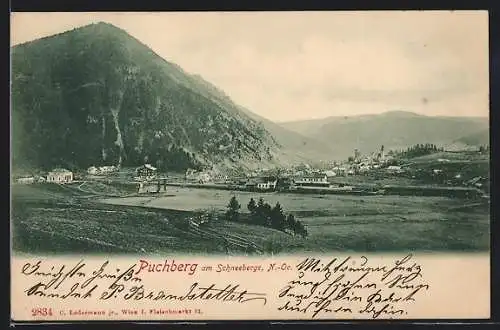 AK Puchberg /Schneeberg, Panorama mit Schneeberg