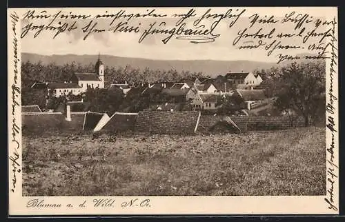 AK Blumau a. d. Wild, Ortsansicht mit Kirche
