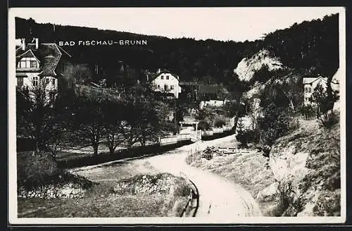 AK Bad Fischau-Brunn, Blick in den Ort, Strassenpartie