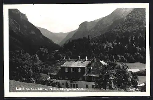 AK Lunz am See, Teilansicht und Blick ins Tal