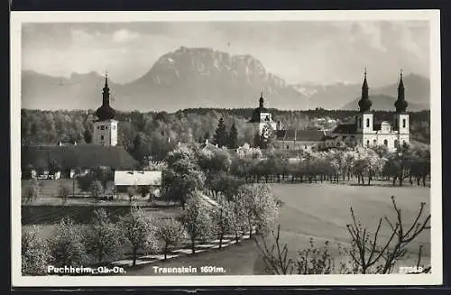 AK Puchheim, Panorama mit Traunstein