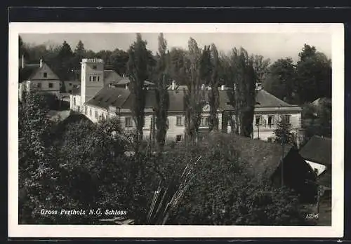 AK Gross-Pertholz /N.-Ö., Schloss