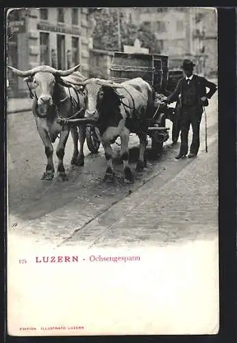 AK Luzern, Ochsengespann mit Besitzer auf einer Strasse