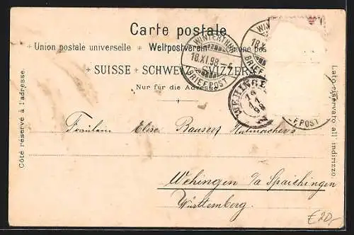 Lithographie Winterthur, Stadthaus, Dr. Jonas Furrer-Denkmal, Pferdekutschen