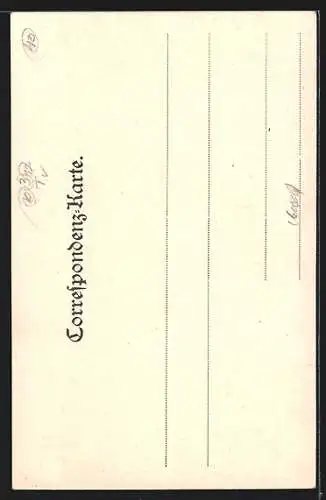 AK Innsbruck, In der Herzog Friedrichstrasse