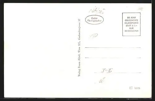 AK Falkenstein /NÖ., Ortsansicht mit Kirche und Ruine